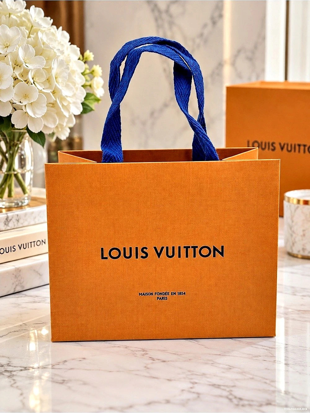 Louis Vuitton Authentic Small Shopping Gift Bag✨✨